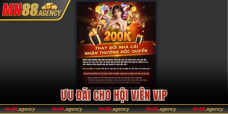 Ưu đãi cho hội viên VIP