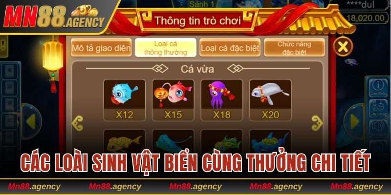 Điểm danh các loài sinh vật biển cùng thưởng chi tiết