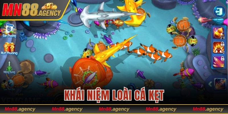 Khái niệm loài cá kẹt