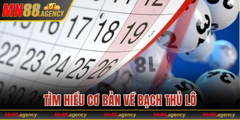 Tìm hiểu cơ bản về bạch thủ lô